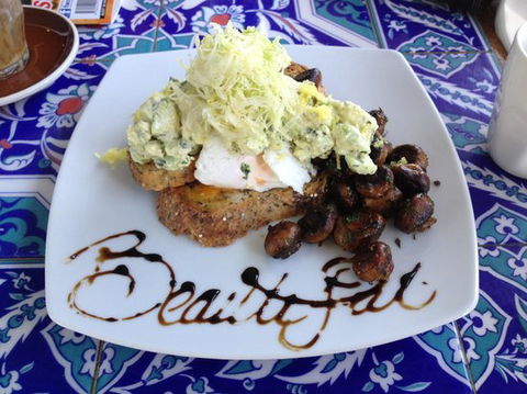 Botany Bites - Accommodation Brisbane 0