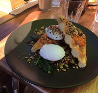 Mason  Bird - Accommodation Brisbane