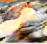 The Peak - Accommodation Brisbane