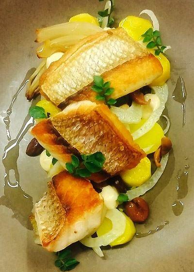 Altitude On Montville - Accommodation Brisbane 3