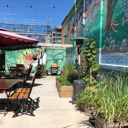O Cha Cha - Accommodation Brisbane 0