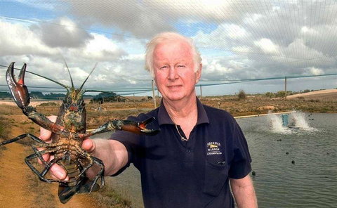 Marron Cafe - Accommodation Brisbane 14