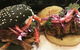 Stonebar Seafood Brasserie - thumb 0