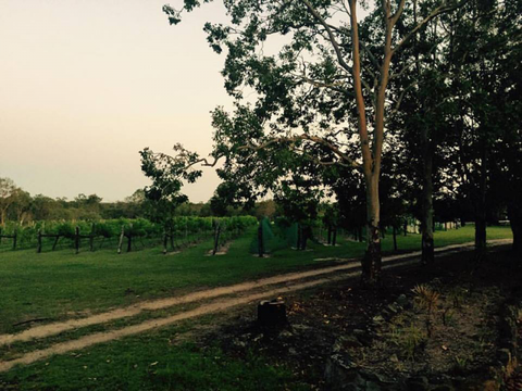 Brierley Wines - Accommodation Brisbane 0