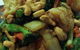 Coco Thai Restaurant - thumb 6