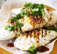 Seafood Cruise Mooloolaba - Accommodation Brisbane