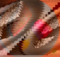 Yellowtail - Accommodation Brisbane