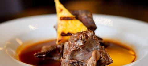 Schnitzel Encounter - Accommodation Brisbane 0