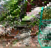 Larrimah Pink Panther Hotel - Accommodation Brisbane