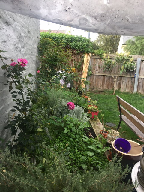 Czegs' Cafe - Accommodation Brisbane 6