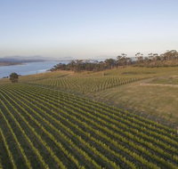 Bangor Vineyard Shed - Accommodation Brisbane
