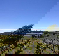 Barringwood Vineyard and Cellar Door Restaurant - Accommodation Brisbane