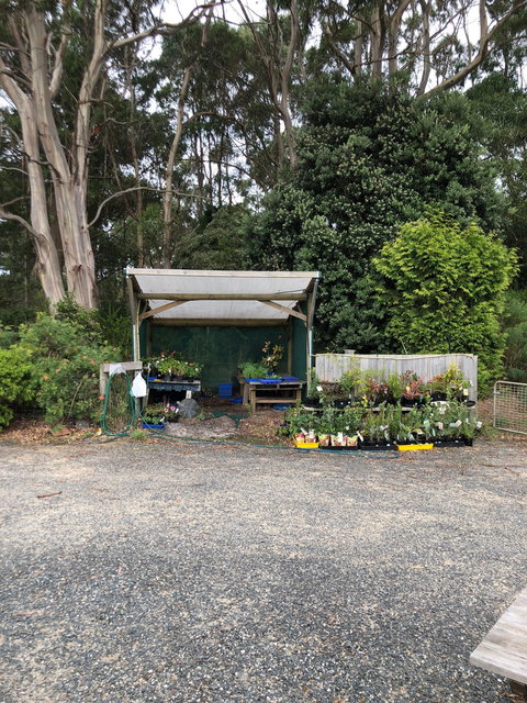 Cafe Brewer - Accommodation Brisbane 8