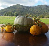 Mount Gnomon Farm - Accommodation Brisbane