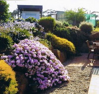 Pipers River Tea House and Crafts - Accommodation Brisbane