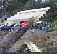 The Bay Fish - Accommodation Brisbane