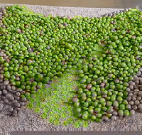 Wattle Hill Olives - Accommodation Brisbane