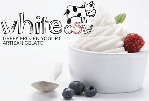 White Cow - Greek Frozen Yogurt, Artisan Gelato - Accommodation Brisbane 0