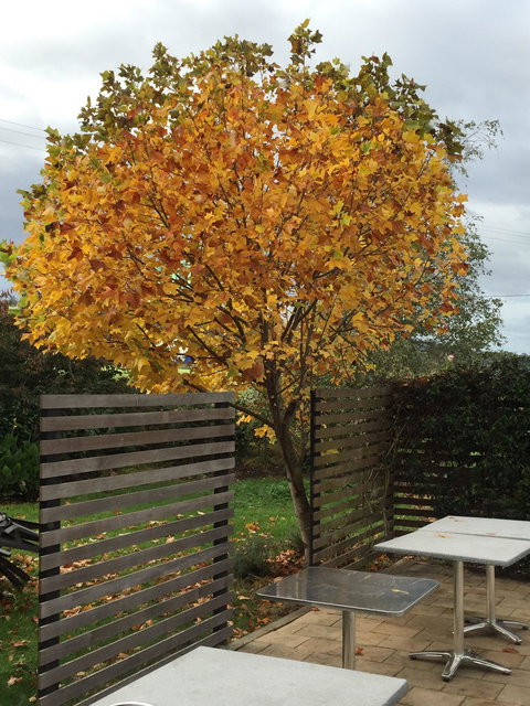 Windermere Cafe - Accommodation Brisbane 11