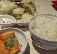 Katsu Japanese Restaurant - Accommodation Brisbane