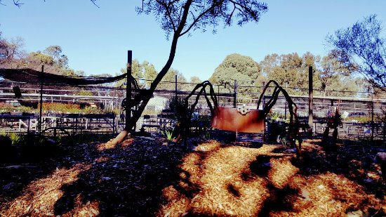 Hazelmere WA Accommodation Brisbane
