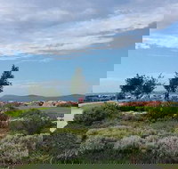 Coffee Cat - Accommodation Brisbane