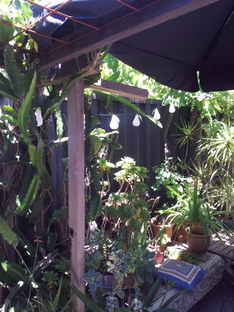 Little Olive Leaf Cafe - Accommodation Brisbane 3