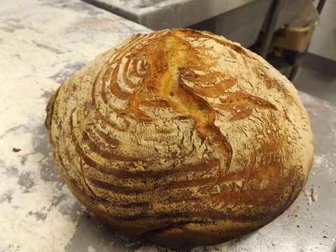 The Early Bird Bakery - Accommodation Brisbane 0