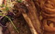Wintersun Hotel Motel Restaurant - thumb 11