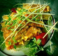 Federal Tavern Derby Tasmania - Accommodation Brisbane