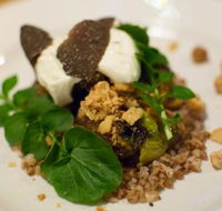 Foragers - Accommodation Brisbane