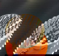 The Daily Grind Cafe - Accommodation Brisbane