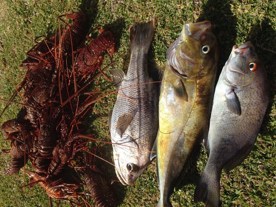 Breton Bay WA Accommodation Brisbane