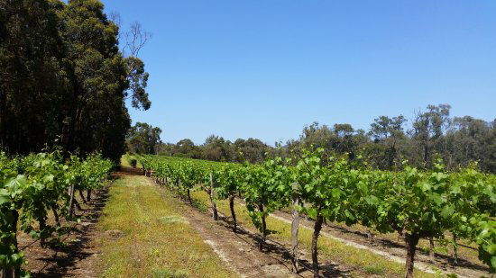 Lower Chittering WA Accommodation Brisbane