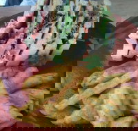 The Front Page Cafe - Accommodation Brisbane