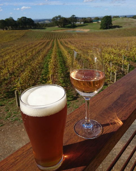 Anderson Hill Cellar Door Restaurant - Accommodation Brisbane 4