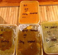 Surya Indian Cuisine - Accommodation Brisbane