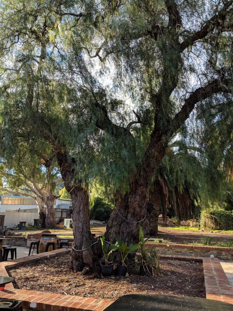 Dell'uva Wines - Accommodation Brisbane 2