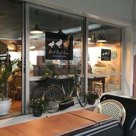 Duck Duck Goose - Accommodation Brisbane 0