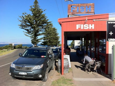 Fish - Accommodation Brisbane 0