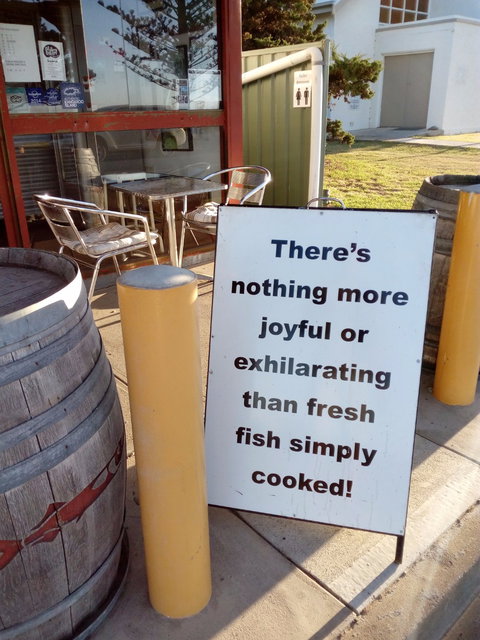 Fish - Accommodation Brisbane 5