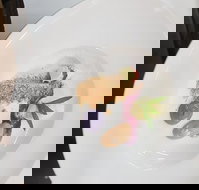 Oliver's Bar  Bistro - Accommodation Brisbane