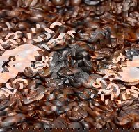 Qahwa Espresso Bar and Coffee Roasters - Accommodation Brisbane