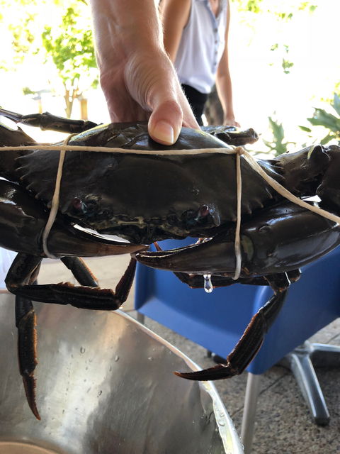 Raw Prawn Seafood Restaurant - Accommodation Brisbane 3
