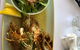 Raw Prawn Seafood Restaurant - thumb 5