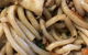 Asian Cuisine - thumb 0
