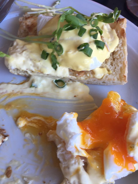 Mussels Restaurant - Accommodation Brisbane 3