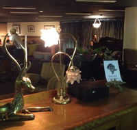 The Bison Bar - Accommodation Brisbane