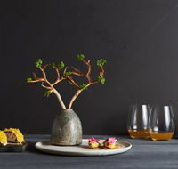 The Long Apron - Accommodation Brisbane