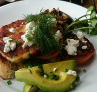 Green Turtle Cafe  Bar - Accommodation Brisbane